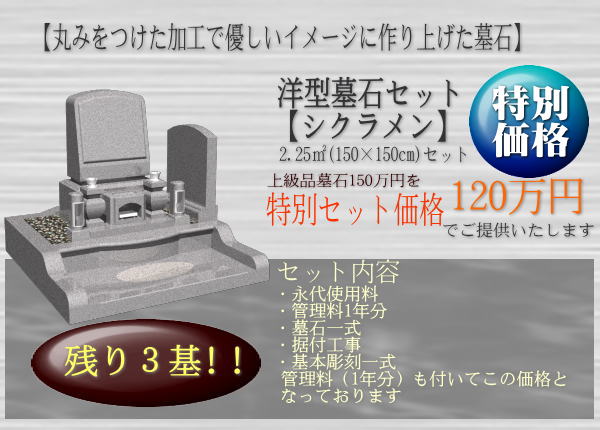 ������΃V�N������