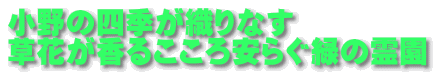 小野の四季が織りなす　 草花が香るこころ安らぐ緑の霊園